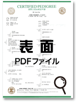 表面 PDFファイル